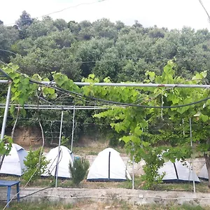 Jungle In Tente de luxe Borsh